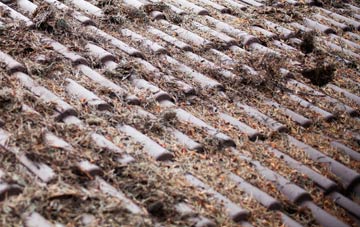 Welham roof cleaning companies